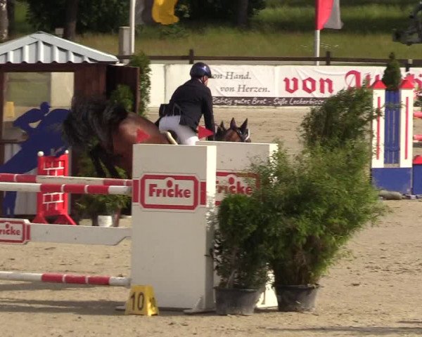 Reitturnier CSI** Westergellersen 2020