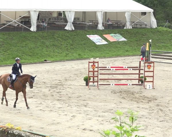 Reitturnier Schaffhausen 2020