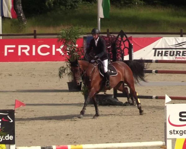 Reitturnier CSI** Westergellersen 2020