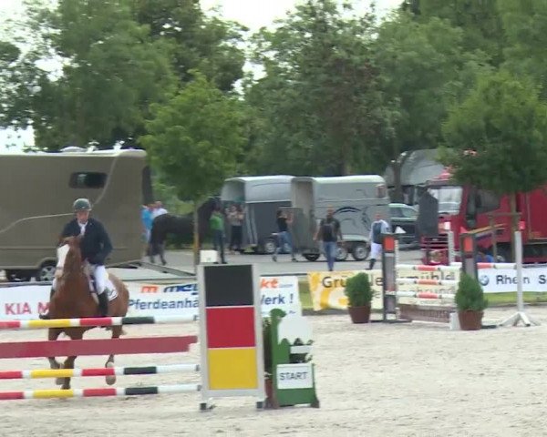 Reitturnier Grafenrheinfeld/Ufr. 2020