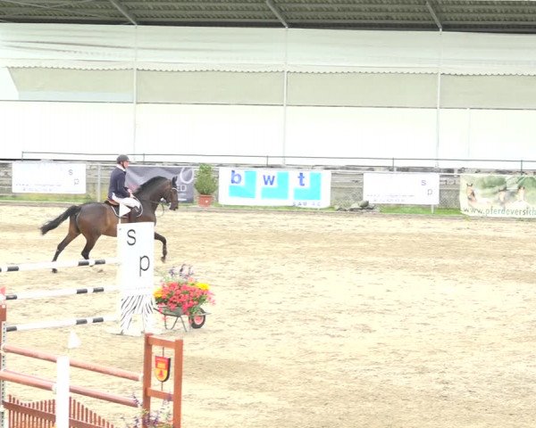 Reitturnier Schaffhausen 2020