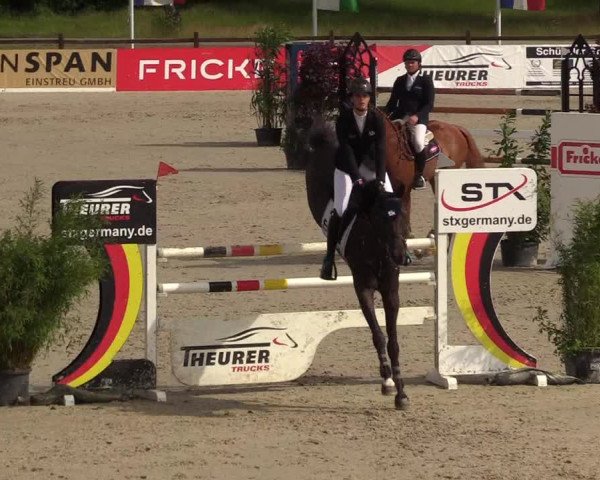 Reitturnier CSI** Westergellersen 2020