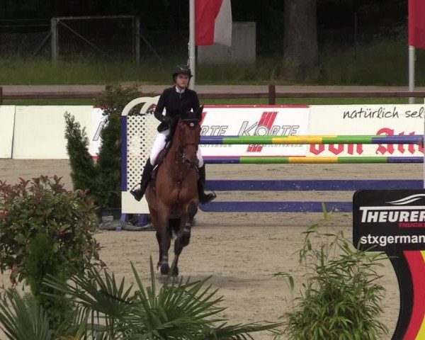 Reitturnier CSI** Westergellersen 2020
