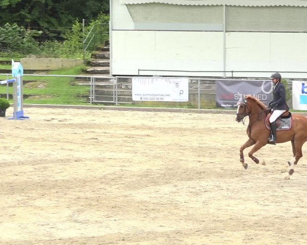 Reitturnier Schaffhausen 2020