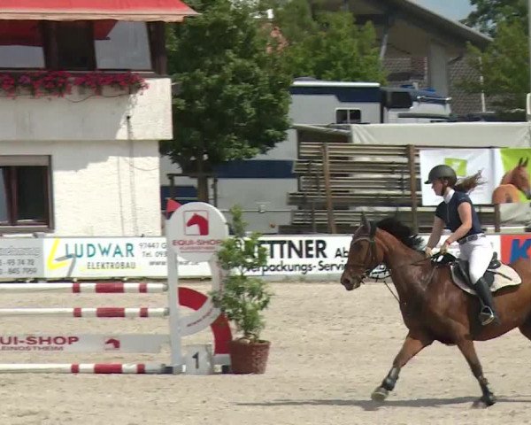 Reitturnier Grafenrheinfeld/Ufr. 2020