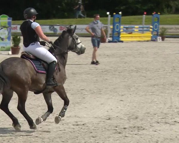 Reitturnier Grafenrheinfeld/Ufr. 2020