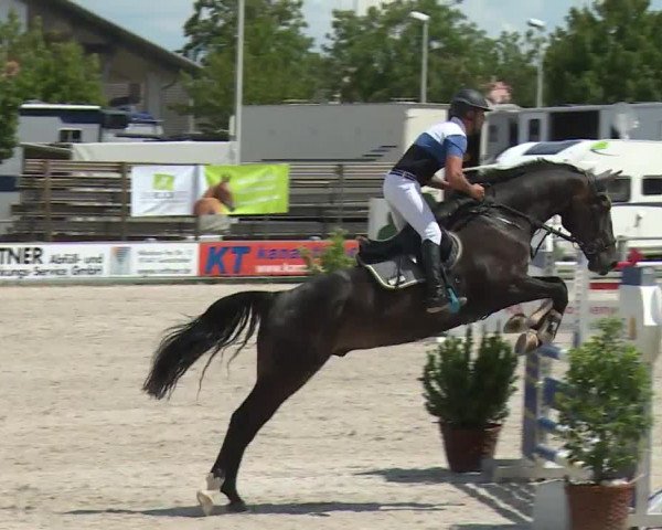 Reitturnier Grafenrheinfeld/Ufr. 2020