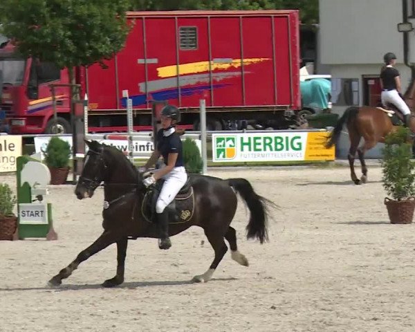Reitturnier Grafenrheinfeld/Ufr. 2020