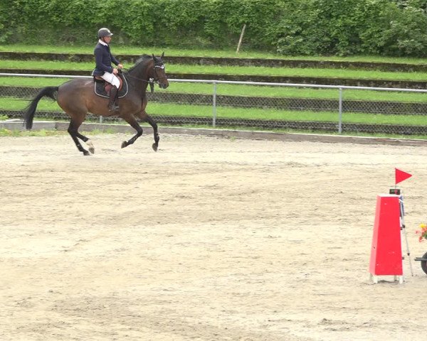Reitturnier Schaffhausen 2020