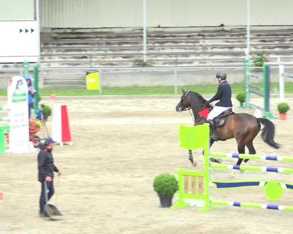 Reitturnier Schaffhausen 2020