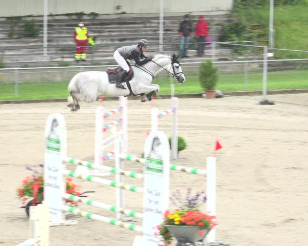 Reitturnier Schaffhausen 2020