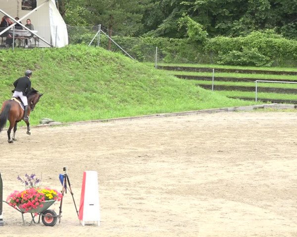 Reitturnier Schaffhausen 2020