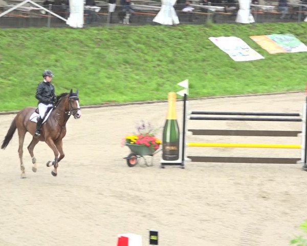 Reitturnier Schaffhausen 2020