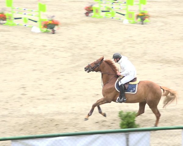 Reitturnier Schaffhausen 2020