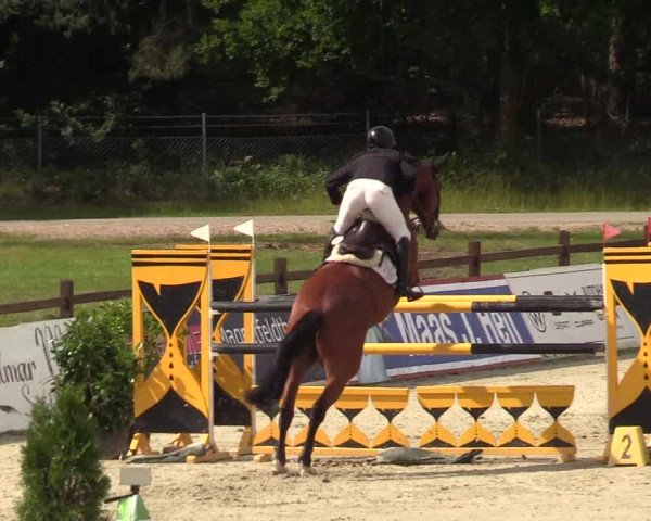 Reitturnier CSI** Westergellersen 2020