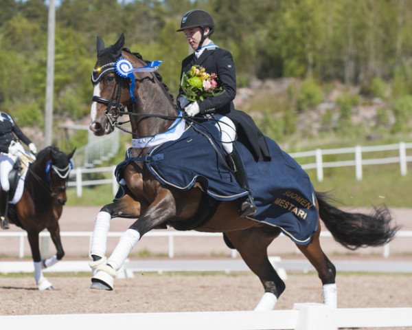 broodmare Antika (Trakehner, 2002, from Michelangelo)