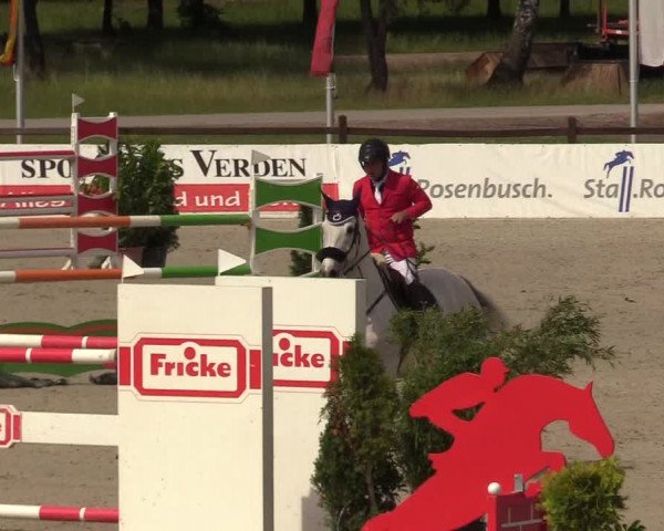 Reitturnier CSI** Westergellersen 2020