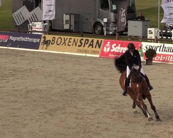 Reitturnier CSI** Westergellersen 2020