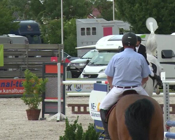 Reitturnier Grafenrheinfeld/Ufr. 2020