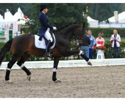 Dressurpferd Mister X (Trakehner, 2004, von Egejus)