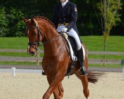dressage horse Fine And Smart (Westphalian, 2004, from Fürst Piccolo)