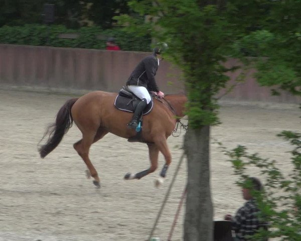 Reitturnier Bonn-Rodderberg 2020