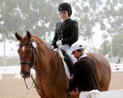 Cavallo da Dressage Grand Makana (Hannoveriano, 2000, di Goodman)