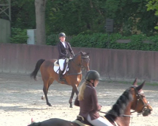 Reitturnier Bonn-Rodderberg 2020