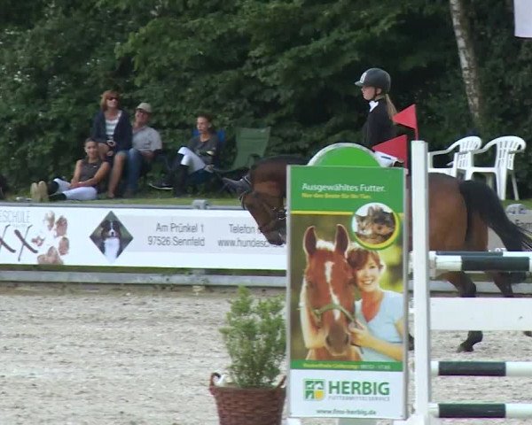 Reitturnier Grafenrheinfeld/Ufr. 2020