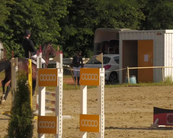 Reitturnier Heiligenwald 2020
