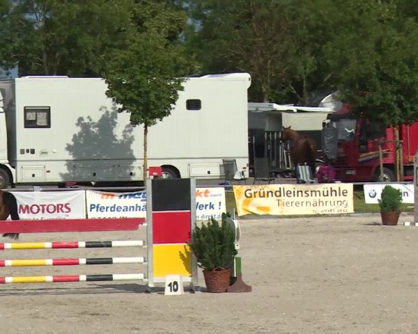 Reitturnier Grafenrheinfeld/Ufr. 2020