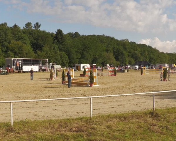 Reitturnier Heiligenwald 2020