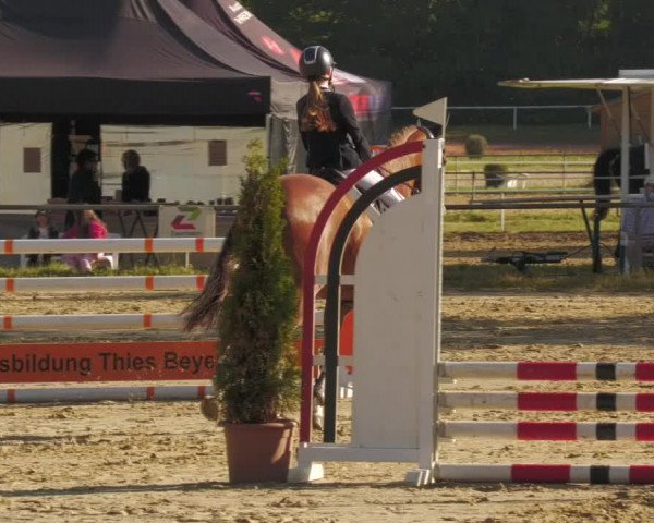 Reitturnier Heiligenwald 2020