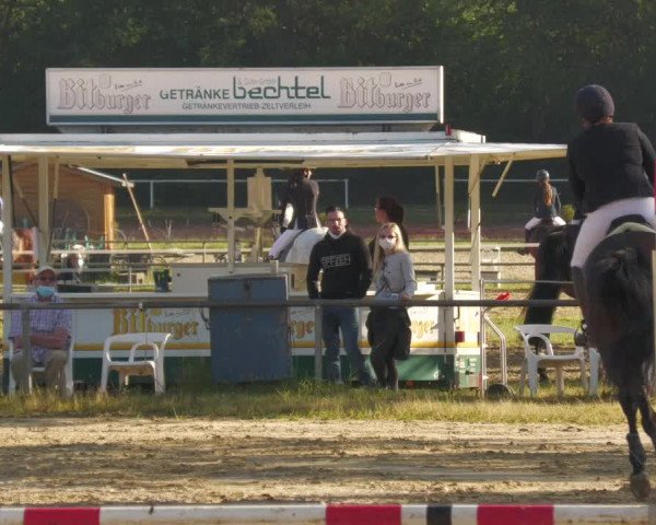 Reitturnier Heiligenwald 2020