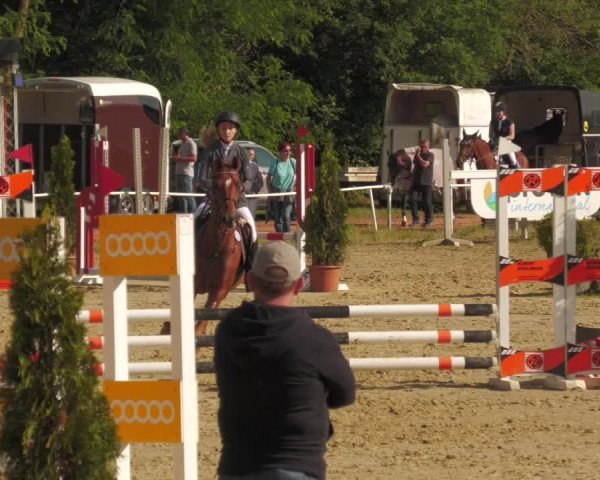Reitturnier Heiligenwald 2020