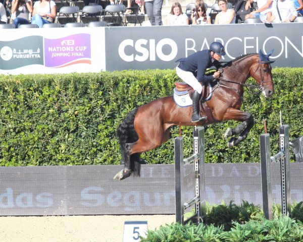jumper Voice de Longchamps (Belgium Sporthorse, 2005, from Toulon)