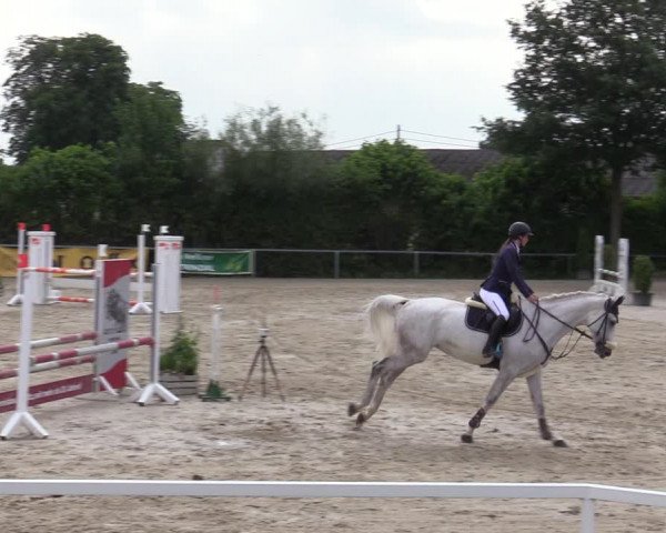 Reitturnier Fröndenberg 2020