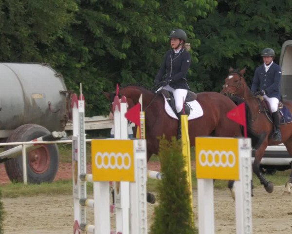 Reitturnier Heiligenwald 2020