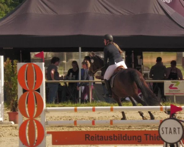 Reitturnier Heiligenwald 2020