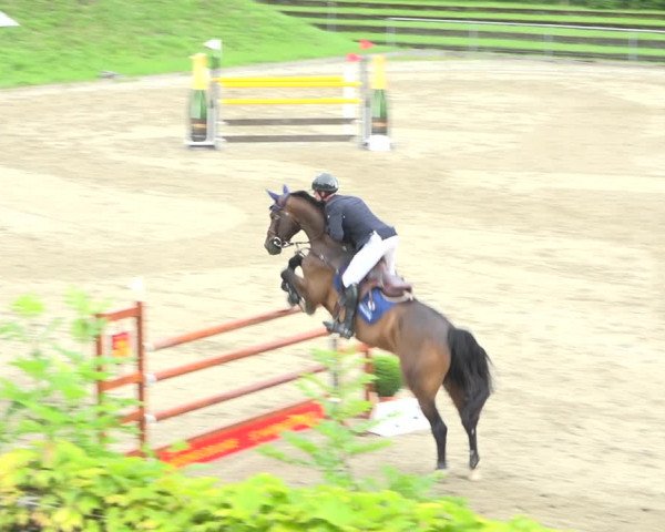 Reitturnier Schaffhausen 2020