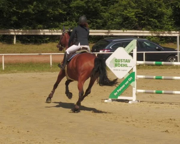 Reitturnier Heiligenwald 2020