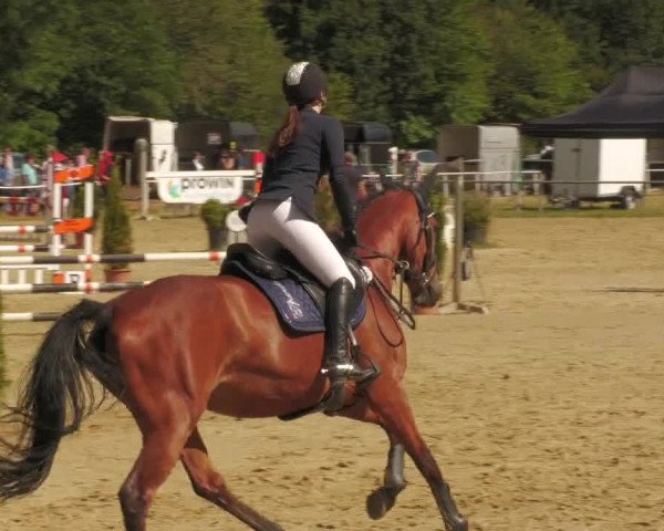 Reitturnier Heiligenwald 2020