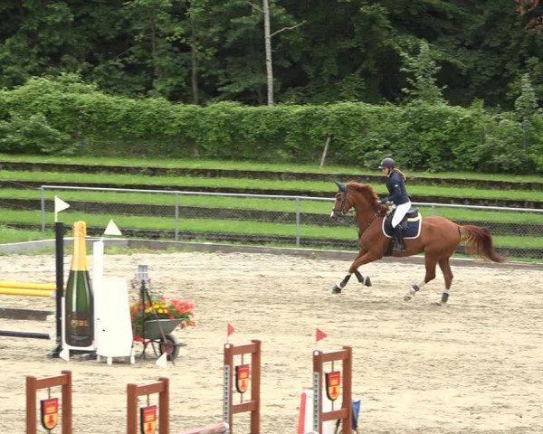 Reitturnier Schaffhausen 2020