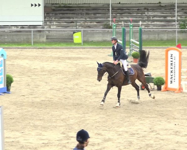 Reitturnier Schaffhausen 2020