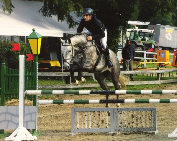 jumper Contess C (Rhinelander, 2010, from Capistrano 2)