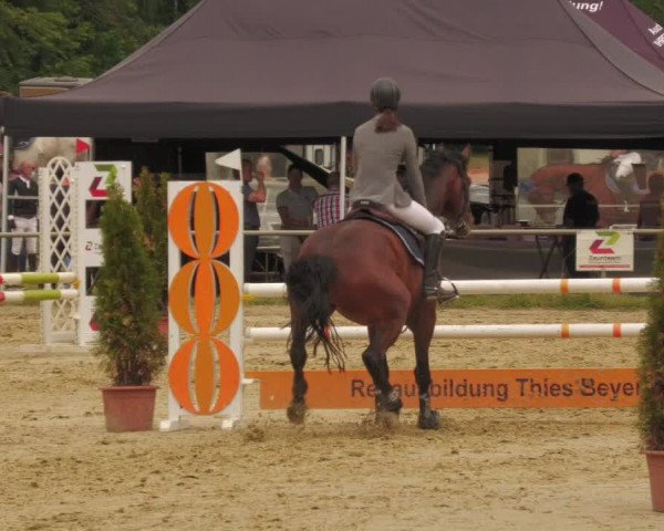 Reitturnier Heiligenwald 2020