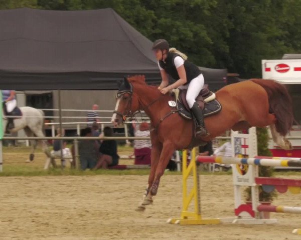 Reitturnier Heiligenwald 2020