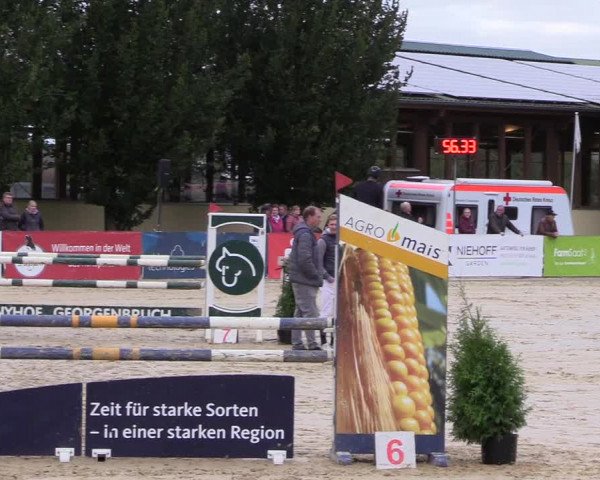 Reitturnier Everswinkel 2021
