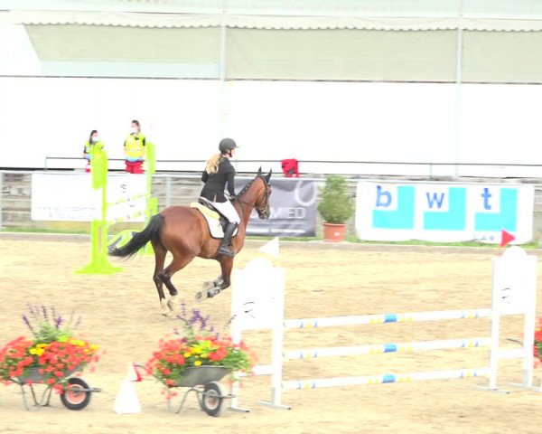 Reitturnier Schaffhausen 2020