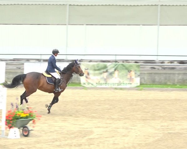 Reitturnier Schaffhausen 2020